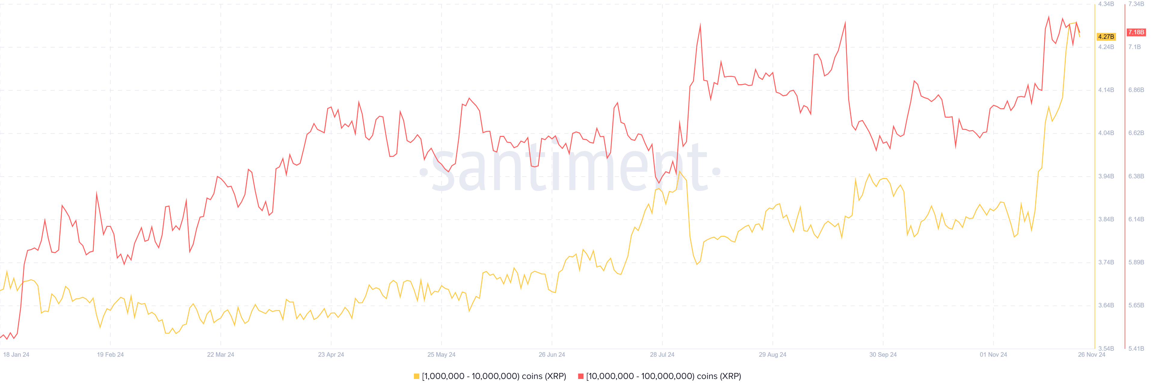 Distribución de Suministro de XRP